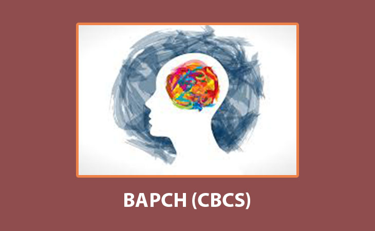 BAPCH- BA Psychology Hons Assignments