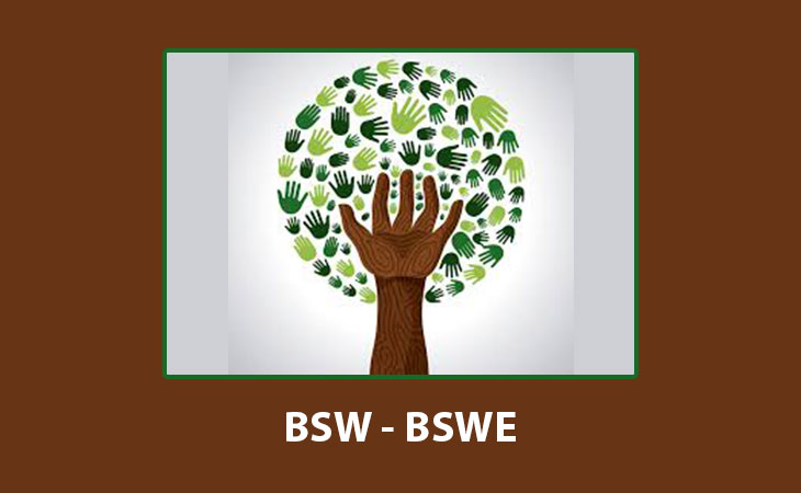 BSW Solved Assignments