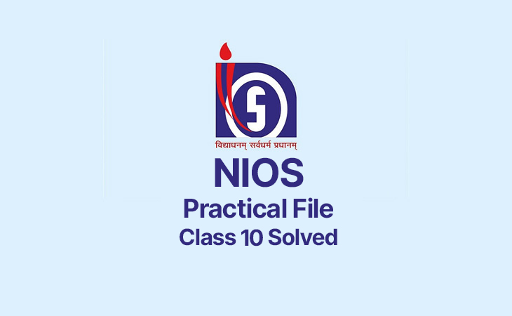 NIOS Practical File Class 10 Solved